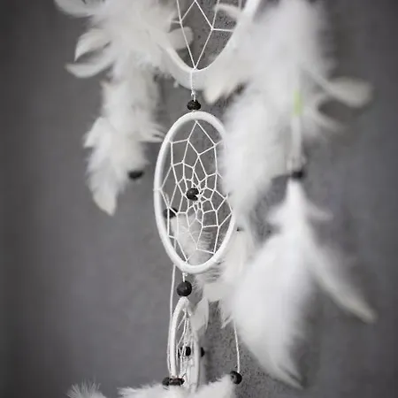 Sun House + Free Parking *